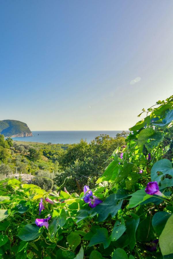 Pataki Guesthouse Petrovac Exterior photo